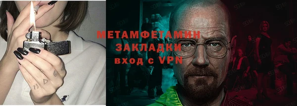 прущие грибы Сясьстрой