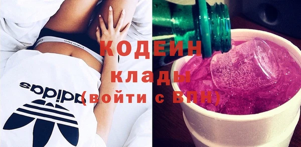 молекула духа Тайга